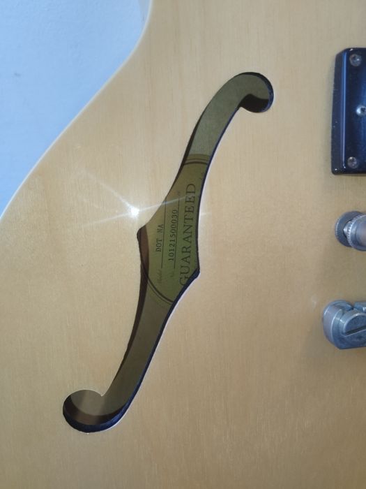 Epiphone Dot gitara elektryczna dot,riviera