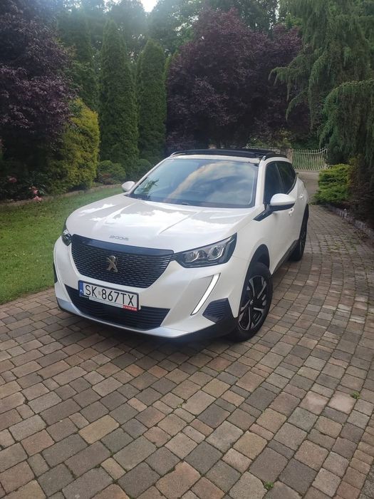 Peugeot 2008 krajowy/pierwszy właściciel/biała perła/FV