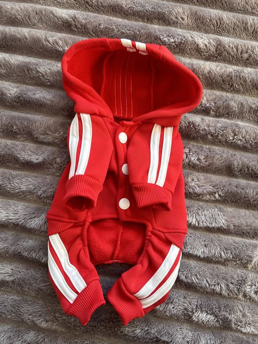 Одежда для собак мини комбинезон, дождевик