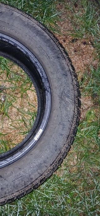 195 65 r 15 debica frigo 2