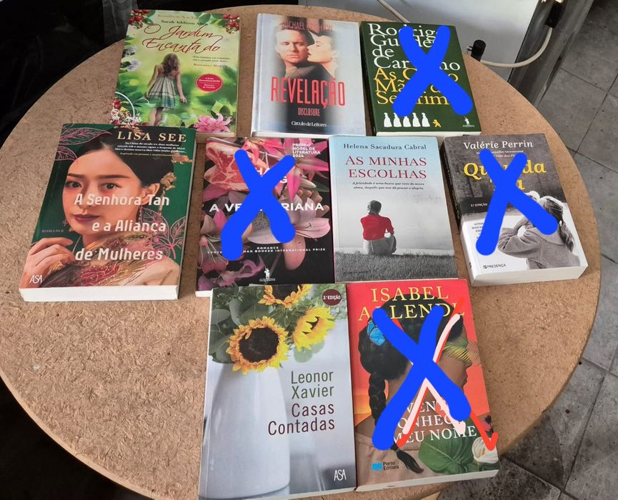 Livros recentes - diversas temáticas