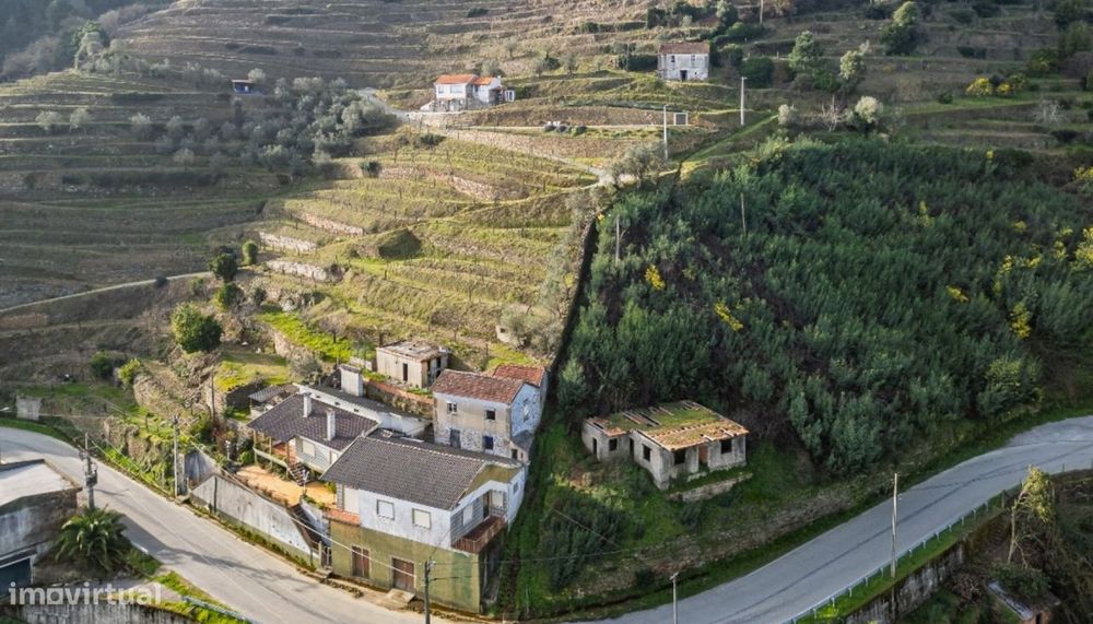 Quinta Vinicola em Vila Marim, Mesão Frio, Douro Valley