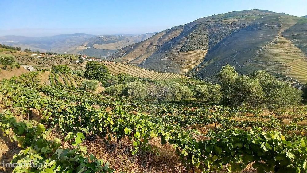 Quinta  para venda