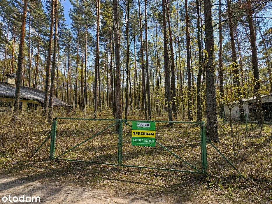 Działka letniskowo-wypoczynkowa przy ul. Leśnej w Turawie