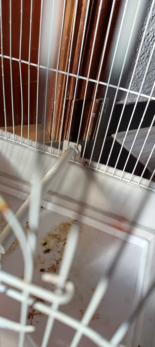 Lot de acecorios para canarios