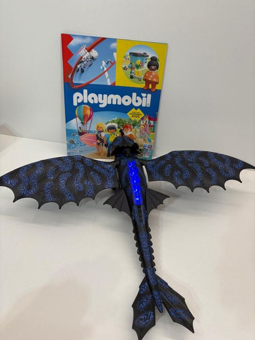 Playmobil Szczerbatek 70037 Jak wytresować smoka