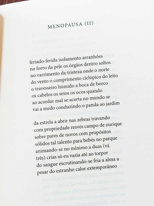 Margarida Vale de Gato - Atirar para o Torto