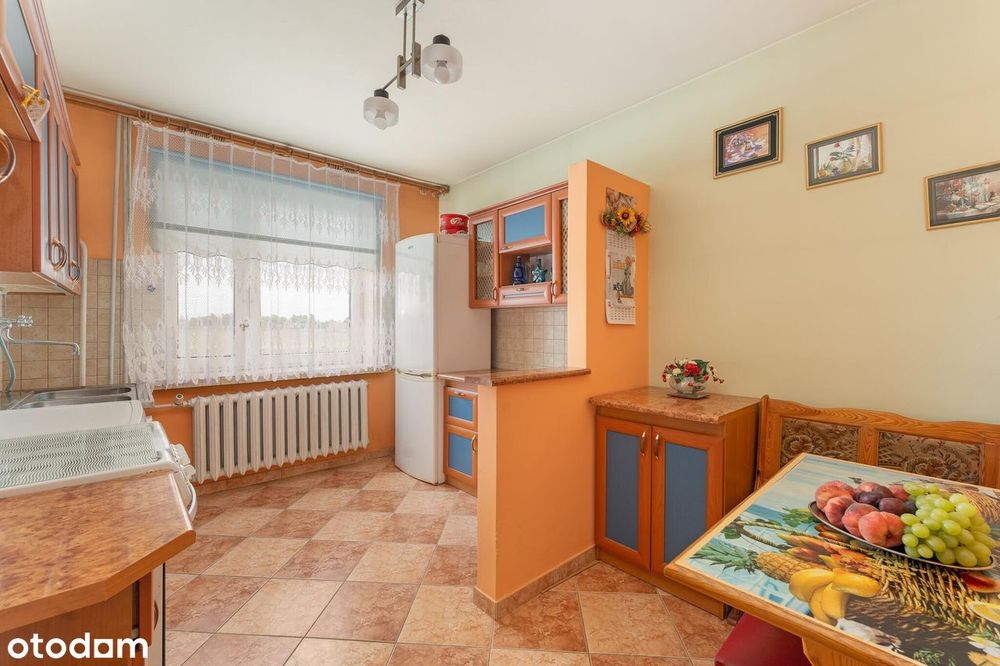Przestronny | Schludny|7pok. 170m2 | + 76m2  Budynek Gospodarczy