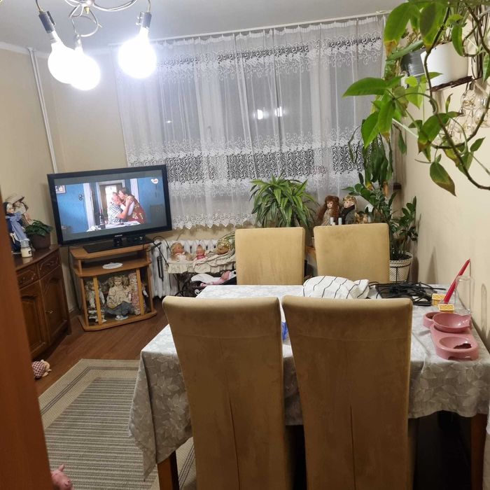 Na sprzedaż 3-pokojowe mieszkanie ŚCINAWA