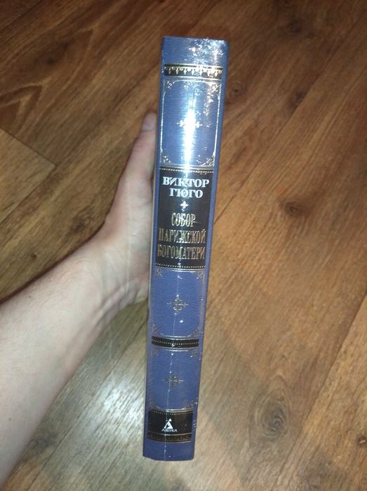 Виктор Гюго. Собор Парижской Богоматери