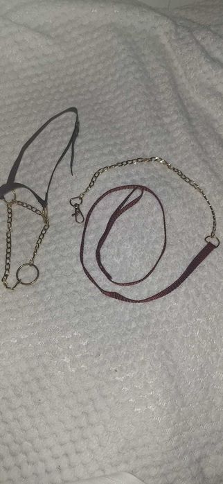 Prezenterka dla konia hobby horse