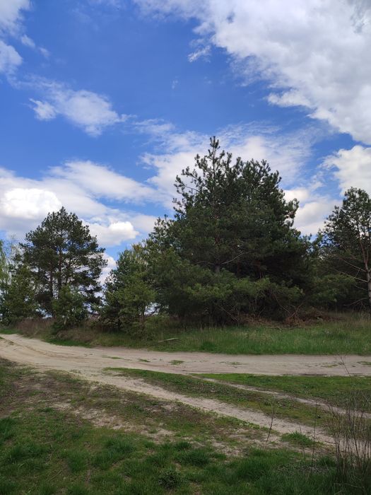 Продам земельну ділянку в кооперативі "Мрія"с.Головурів