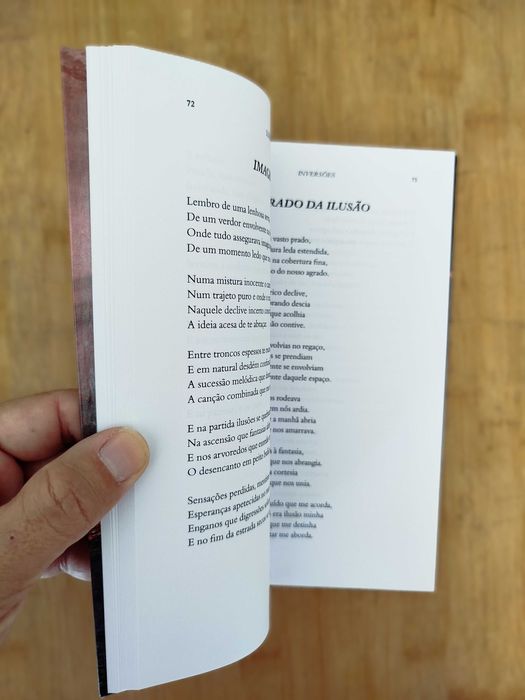 Inversões de Luís Ochoa