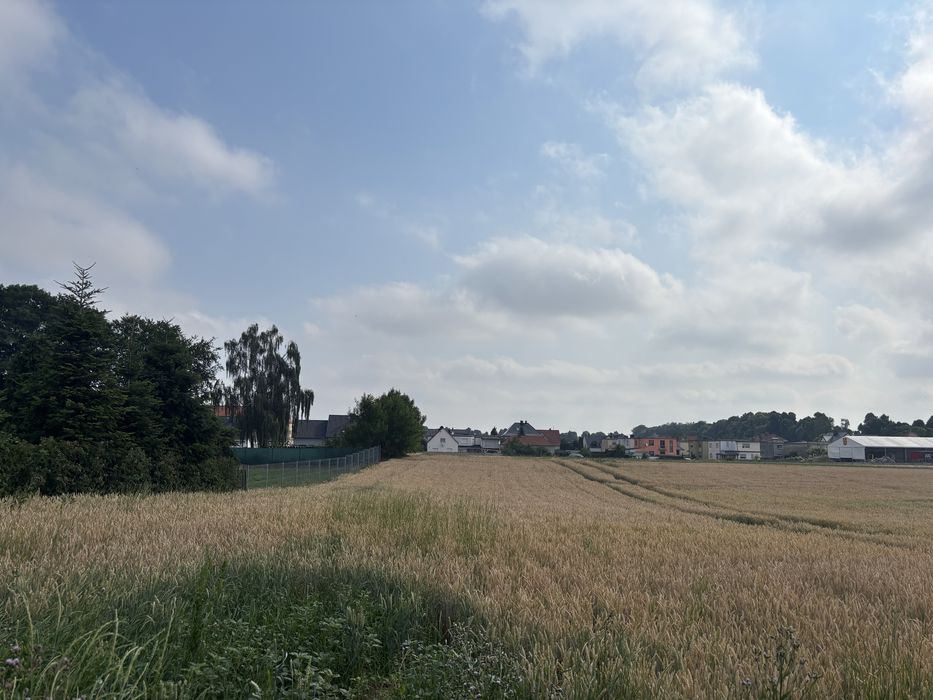 Działki budowlane - Głogówek