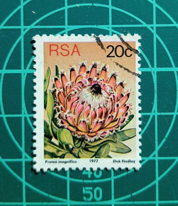 SELOS - ÁFRICA DO SUL 1 - 1977 - Flora - Plantas Protea