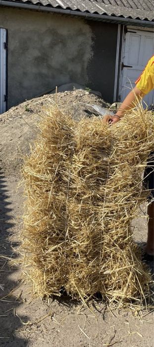 Солома в тюках 2025 року