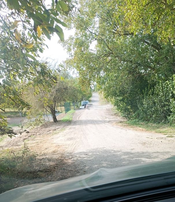 Продаж ділянок біля лісу