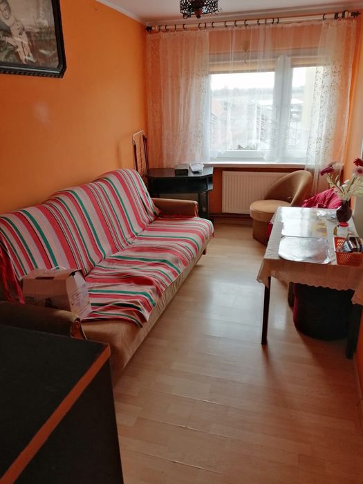 Opróżnianie oczyszczanie sprzątanie piwnic mieszkań strychów domów