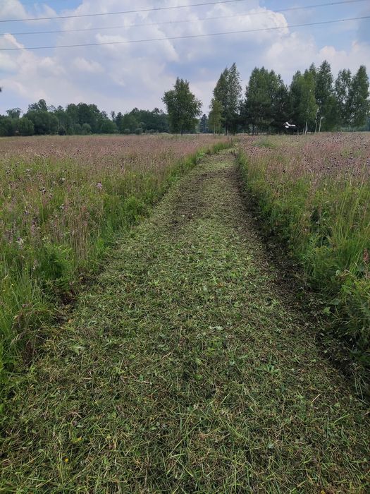 Koszenie działek, łąk. nieużytków Kielce, Piekoszów, Małogoszcz ,Chęci