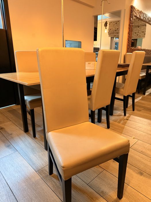 Cadeiras de napa costa alta cor (toffe) 49 uni.+ candeeiros iglo