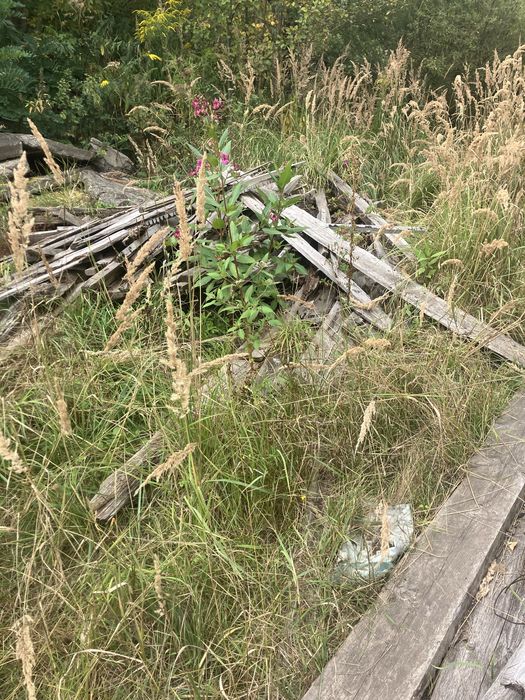 Drewno opal za darmo