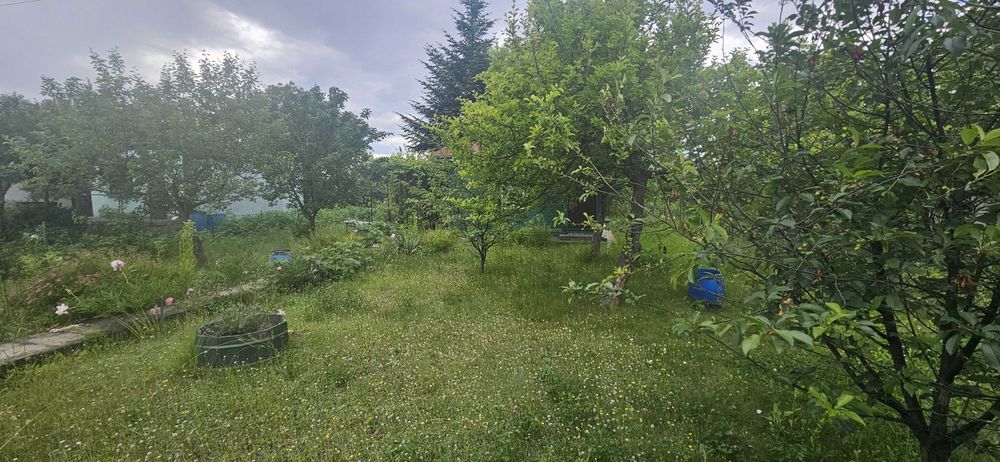 Zielona Działka Pracownicza ROD-Ariadna-Dąbrowskiego 76 - Więcej