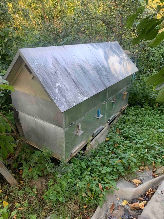 продам апібудинок