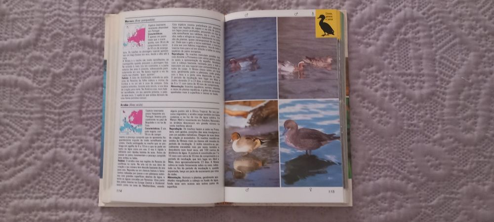 Aves Aquáticas - Frieder Sauer