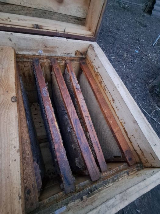 Вулики лежак на 24 рамки