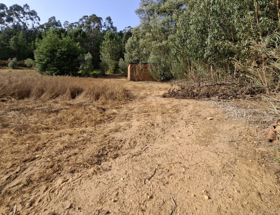 Vendo terreno em Vale Marelo com área aproximada de 9000m2"
