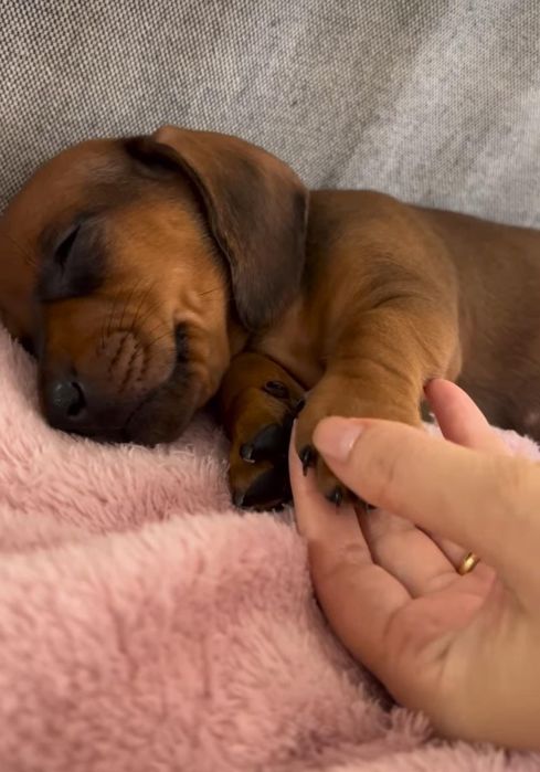 Рудий хлопчик такси