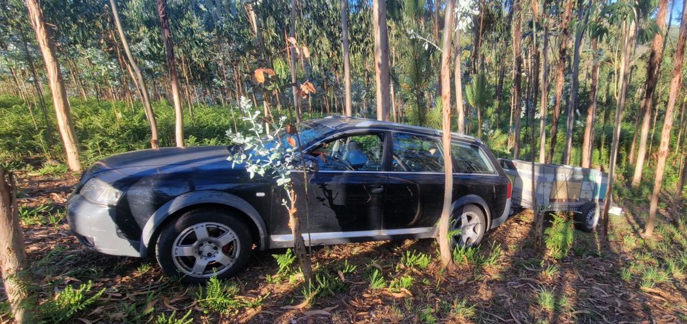 Audi A6 Allroad 2.5 TDI V6 Quattro (180cv)