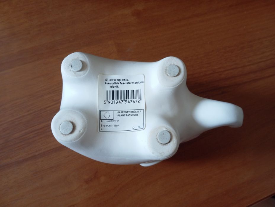 Doniczka biała ceramiczna w kształcie słonia .