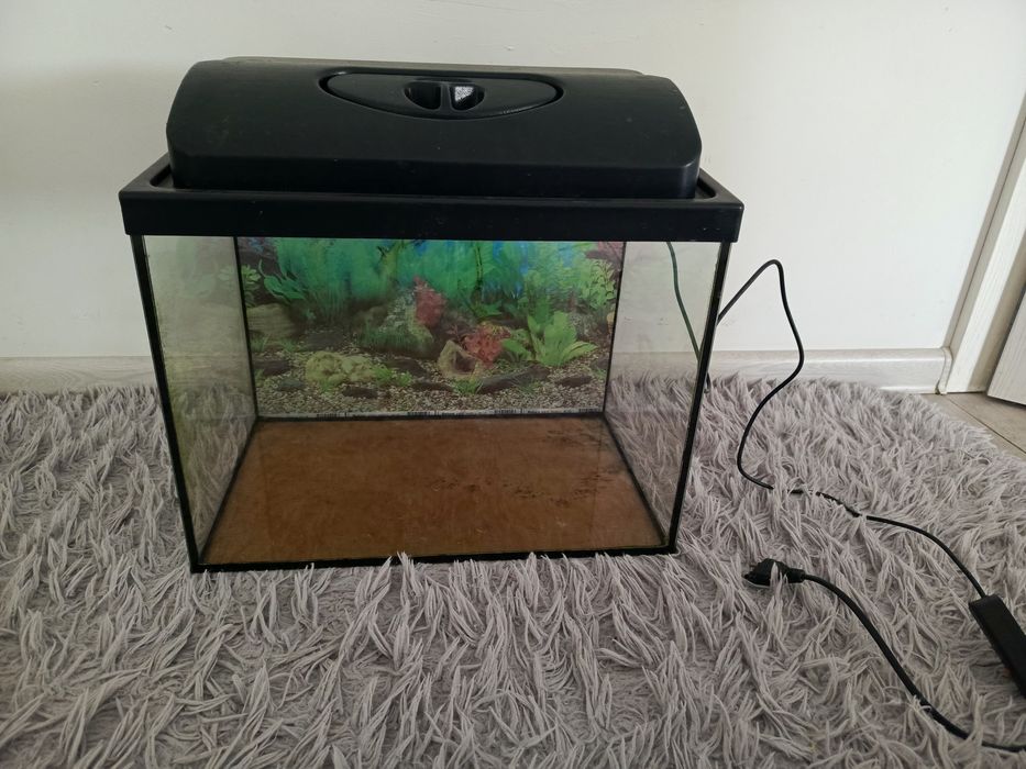 Akwarium 30 l zestaw kompletny