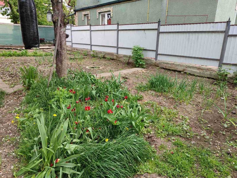 (3) Продам частину будинку на Старому місті 0925