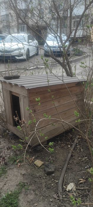 Віддам будку для тварин, самовивіз.
