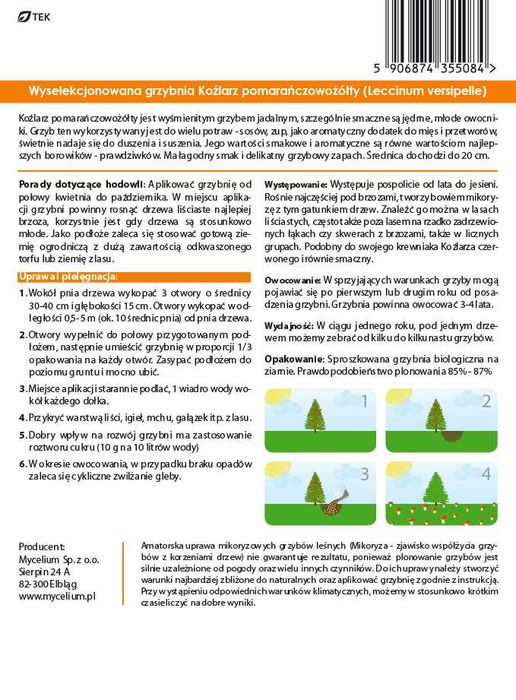 Grzybnia Koźlarz Pomarańczowy