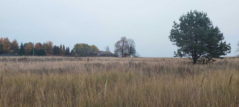 Вихід до води,  Сухолуччя, 22 сотки. Шикарне місце!