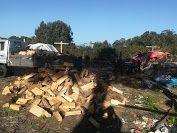 Lenha, carvalho, ocalipto, astraria e etc