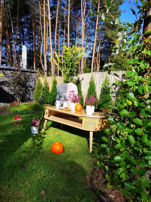 Domki 12, 8 i 7 osobowe  nad zalewem chańcza do wynajecia balia sauna