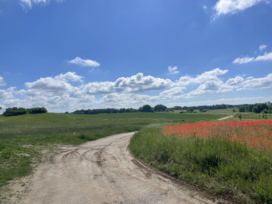 Piękna dzialka budowlana z mediami pod lasem.  Tałty k.Mikołajek - View 3