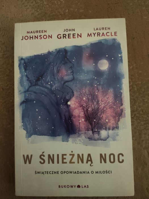 W śnieżną noc książka