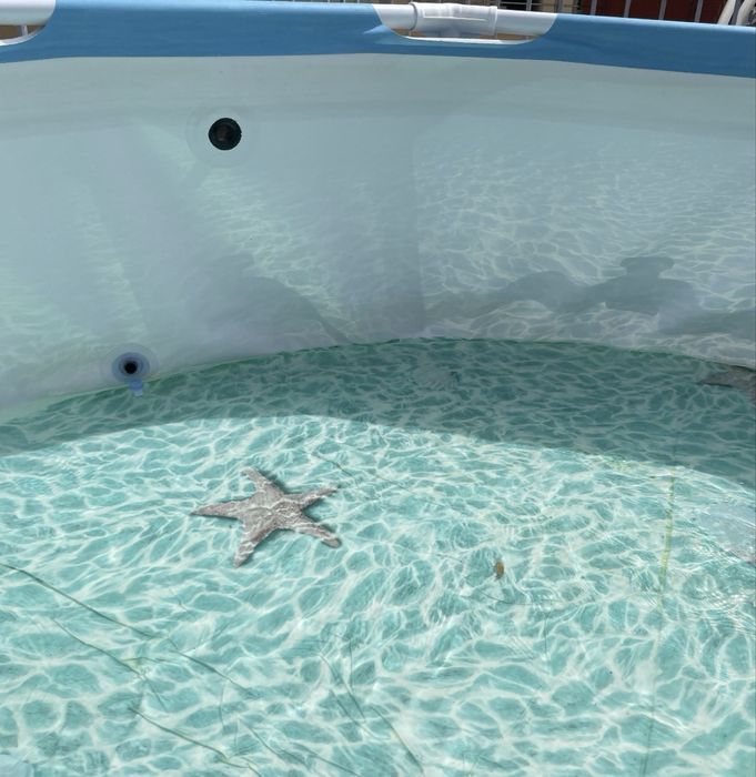 Piscina redonda intex