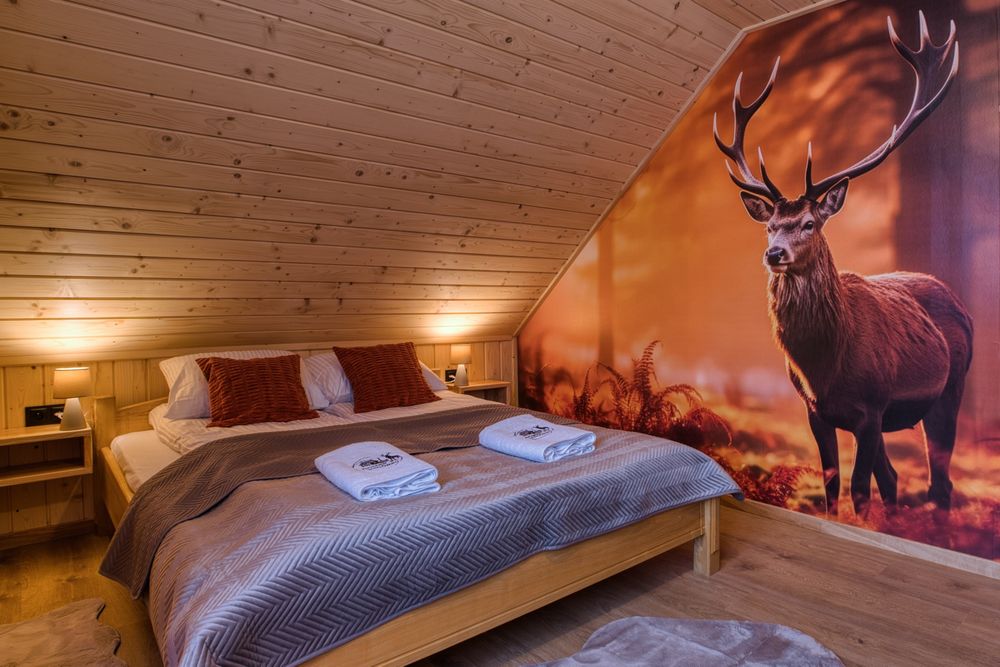 Domek na Wzgórzu z JACUZZI