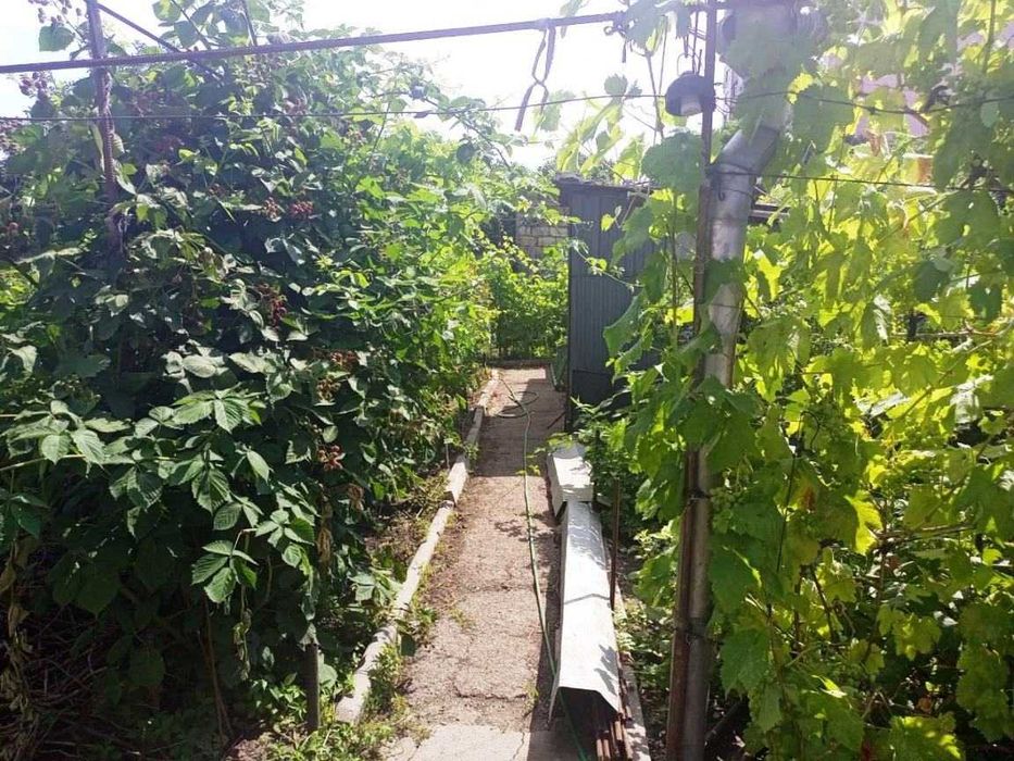 Дом по адресу Люстдорфская дор. (площадь 64,2 м²) - Atlanta.ua - фото 3