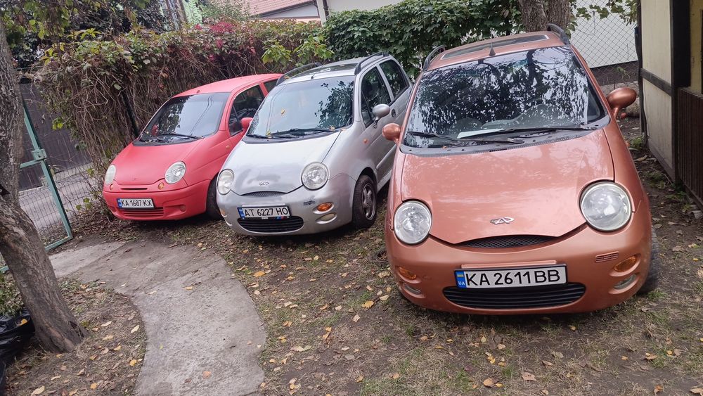 В продажі Чері куку