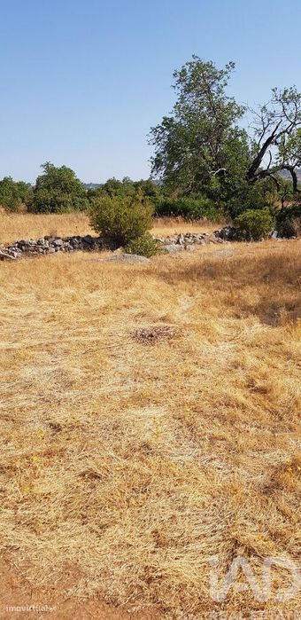 Terreno em Boliqueime de 13750,00 m2