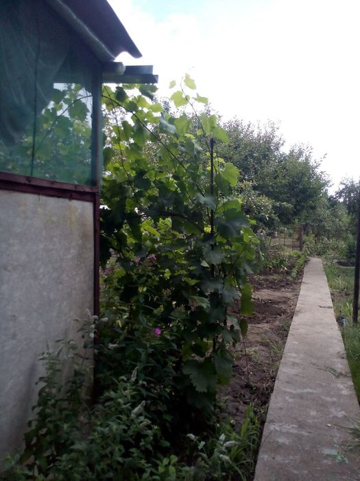 Дача Комунальник 10 соток