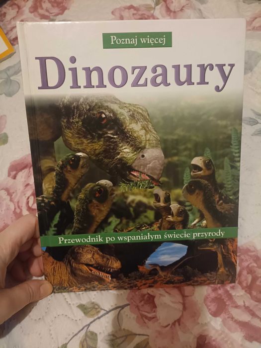 Książka Dinozaury o dinozaurach dla dzieci przewodnik poznaj więcej