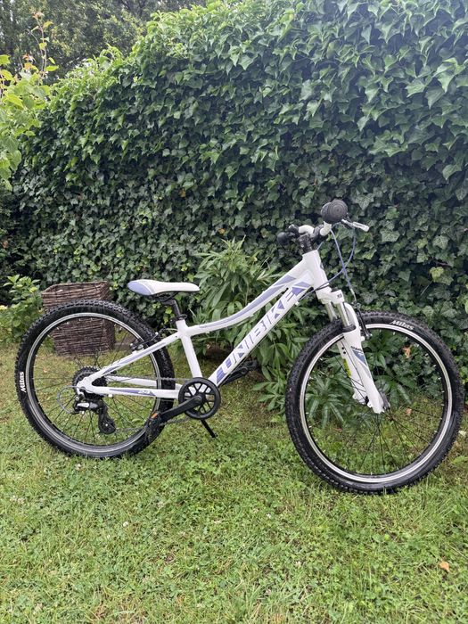 Rower Unibike Roxi 24x11